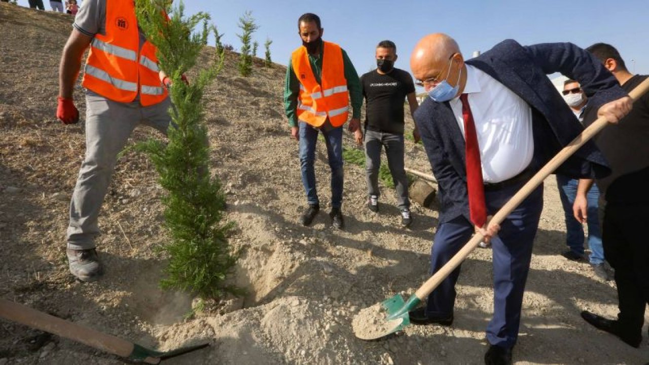 Yenimahalle’de 300 ağaç toprakla buluştu - Ankara