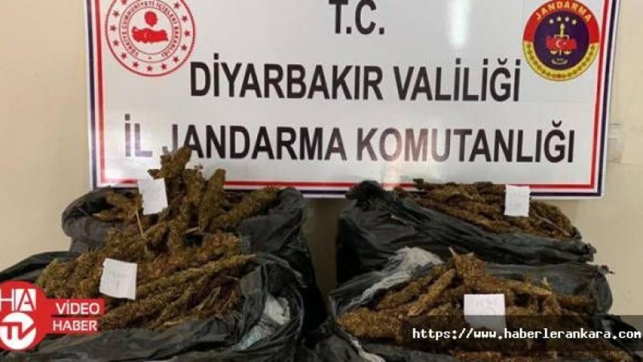 Diyarbakır'da 66 kilo 705 gram esrar ele geçirildi