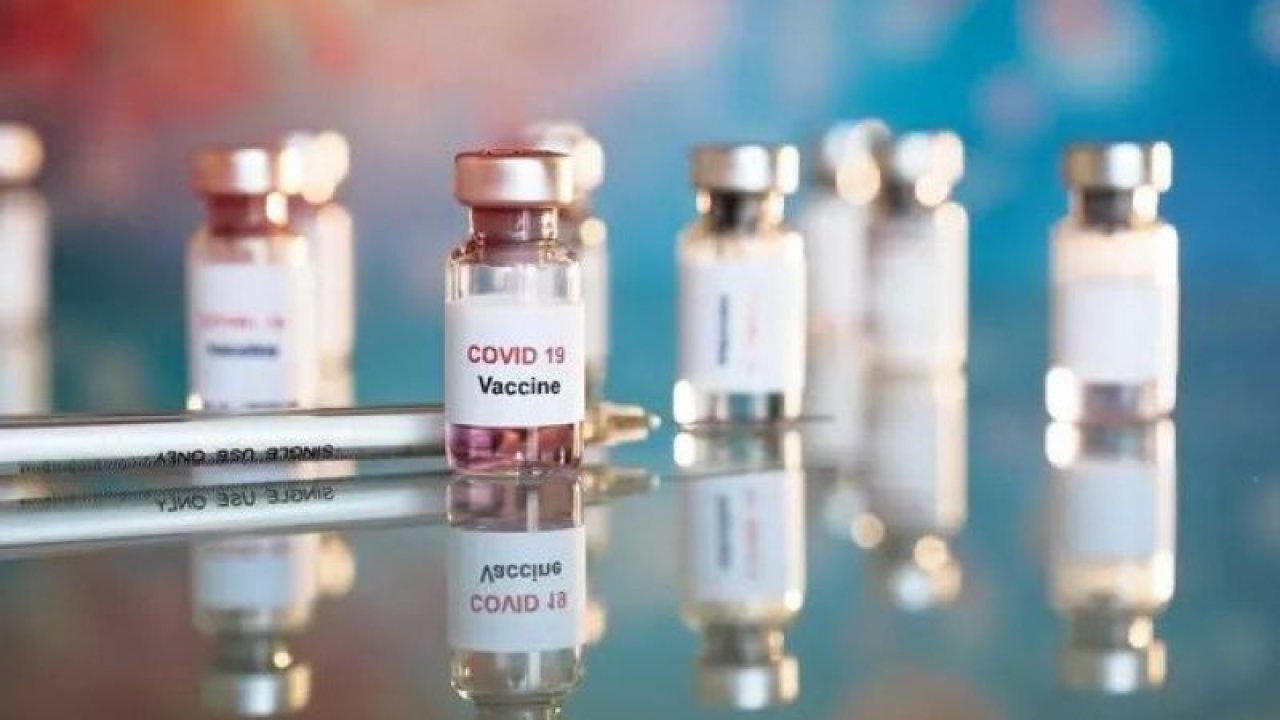 DSÖ duyurdu! Korona aşısı ülkelere ne zaman dağıtılacak?