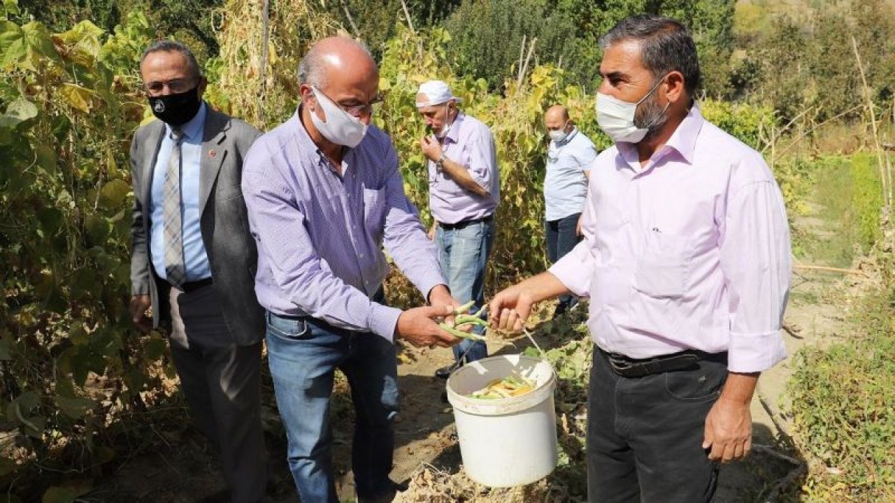 Ankara Kulübü Derneği Seymenleri yöresel tarım ürünlerinin izini sürmeye devam ediyor