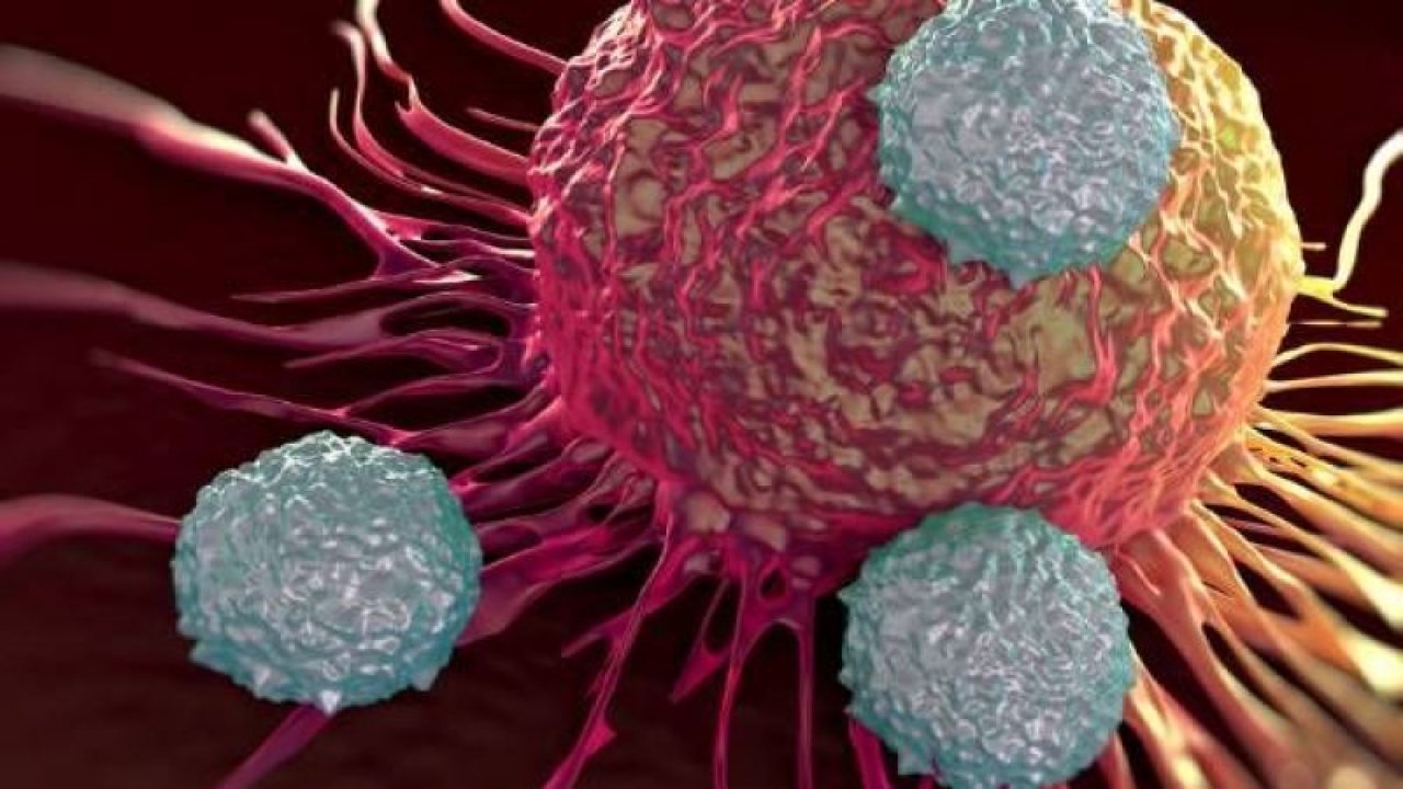 ODTÜ'lü araştırmacılardan kanseri biyopsi yerine kan testiyle yakalayan teknoloji