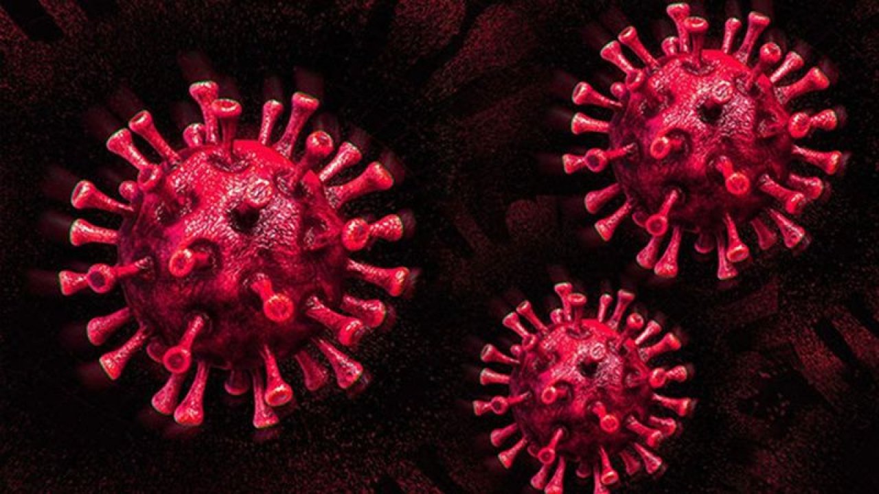 Koronavirüste son durum! Dünya genelinde vaka sayısı ve can kaybı kaç oldu? 20 Ekim 2020