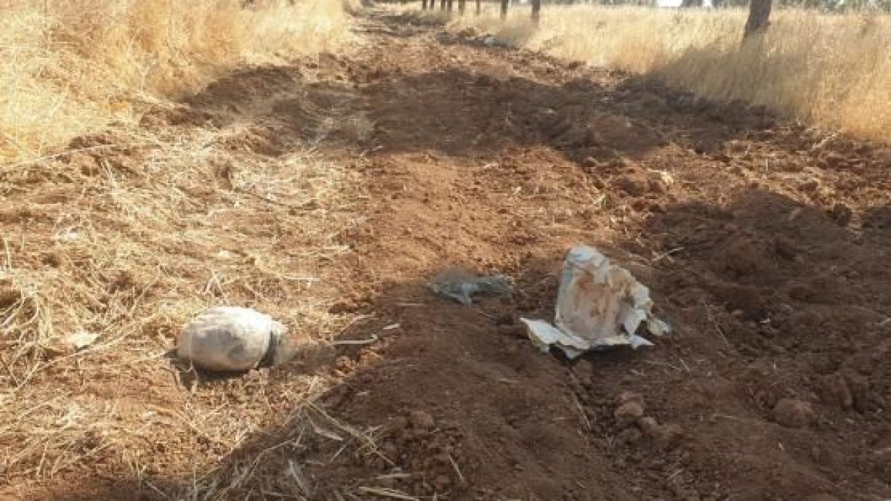 Şanlıurfa'da toprağa gömülü halde 8 kilogram patlayıcı bulundu