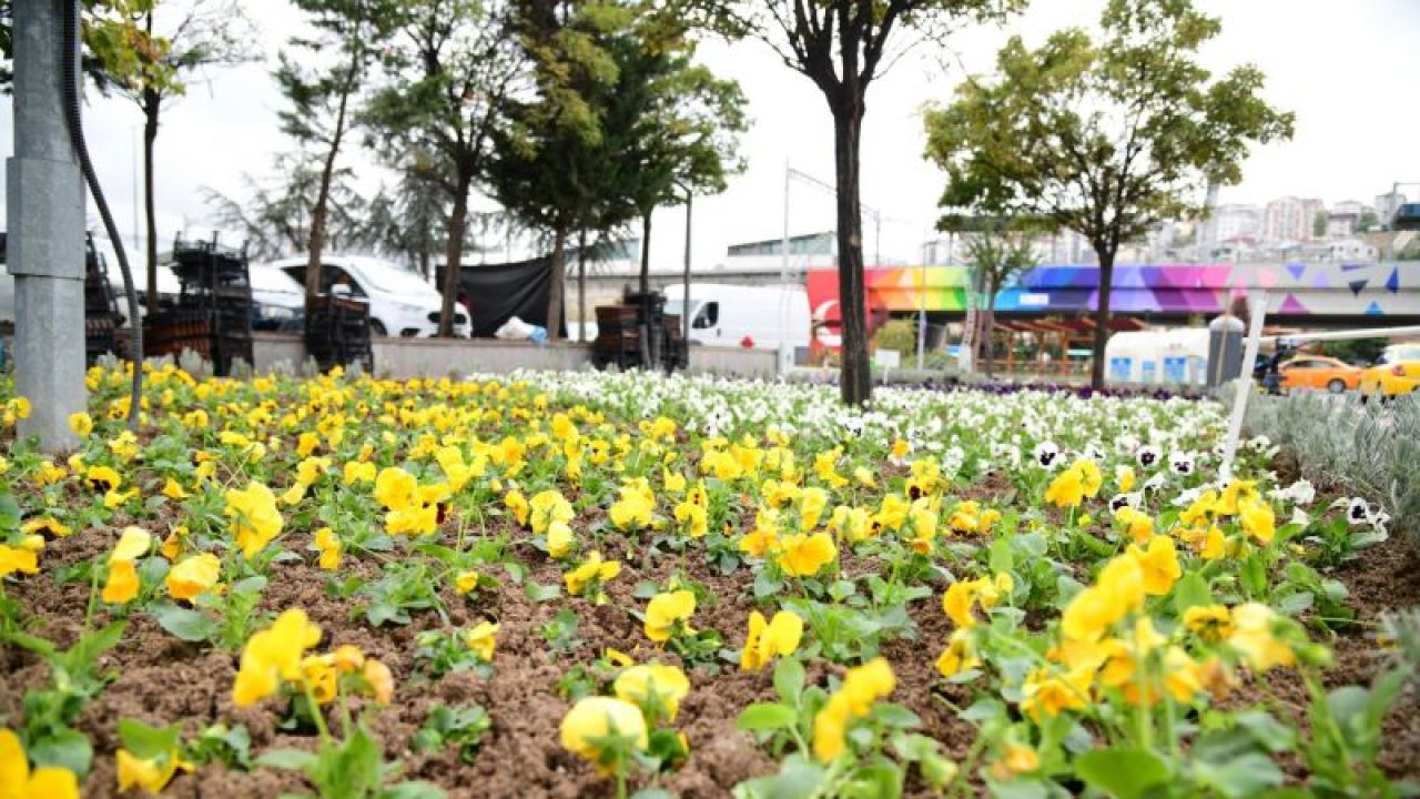 Ankara Mamak'ta kışın da çiçek açıyor