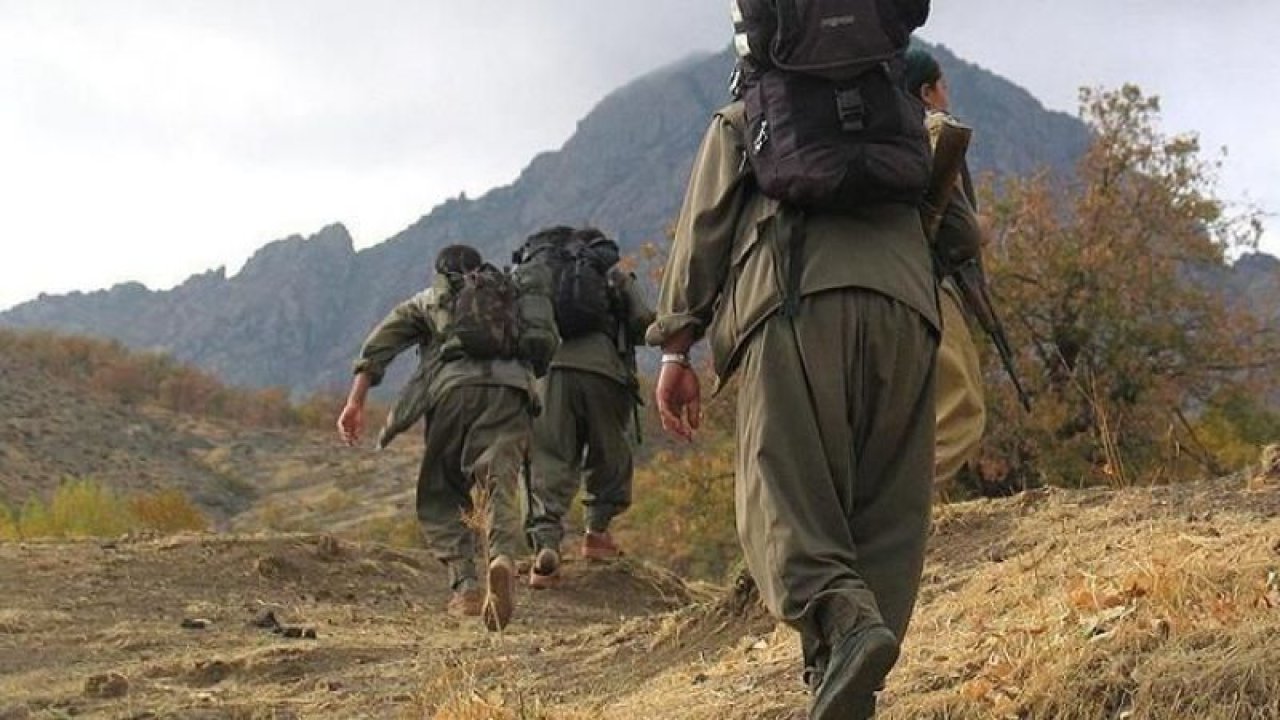 Mardin'de PKK'lı bir terörist tutuklandı