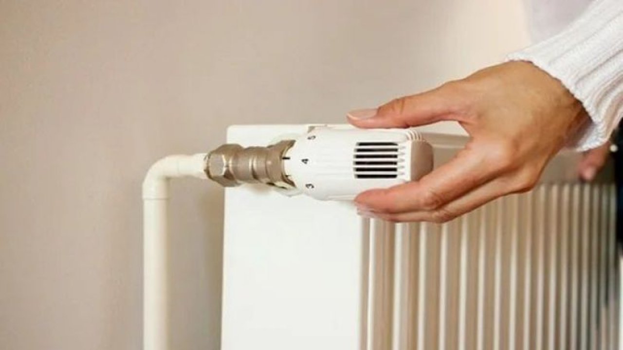 Peteklerin Havası Ne Zaman, Nasıl Alınır? Suyu Nasıl Değiştirilir?