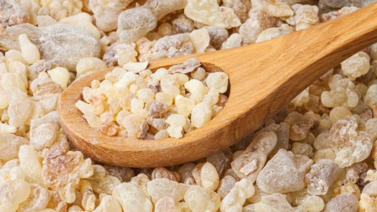 Bu Sakızı Çiğneyen Zayıflıyor! Yeni Mucize'nin Adı: Sirke Sakızı!