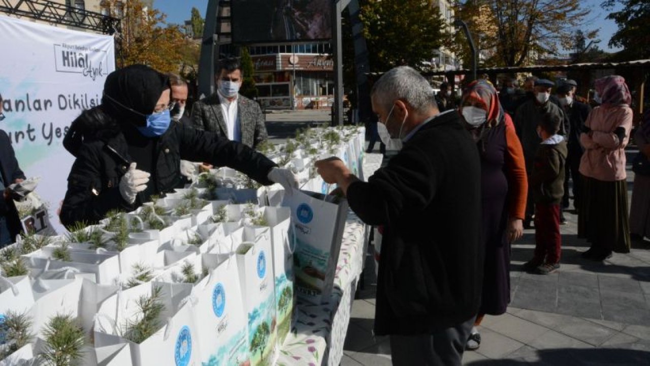 Ankara Akyurtlulara 5 bin adet sedir fidanı dağıtıldı