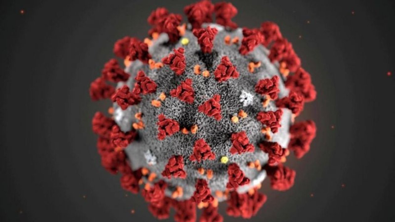 Koronavirüste son durum! Dünya genelinde vaka sayısı ve can kaybı kaç oldu? 18 Kasım 2020