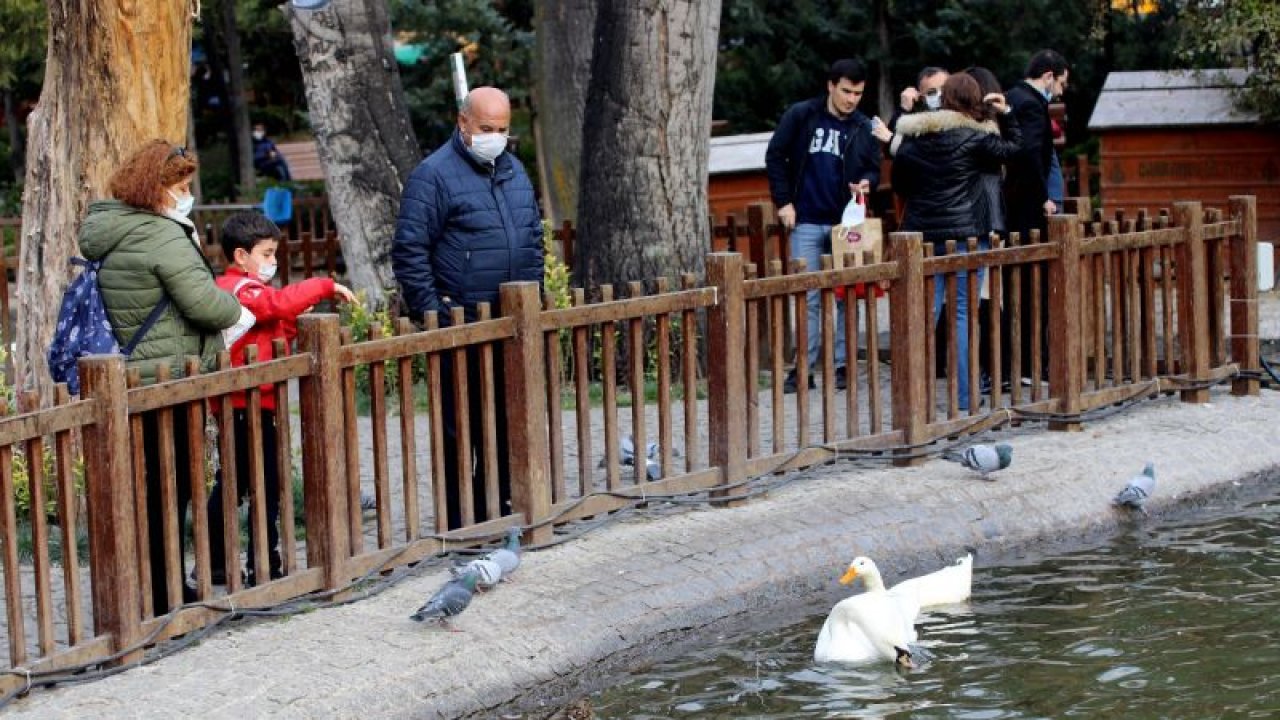 Kuğulupark, doğal güzelliğiyle Ankaralıları cezbediyor