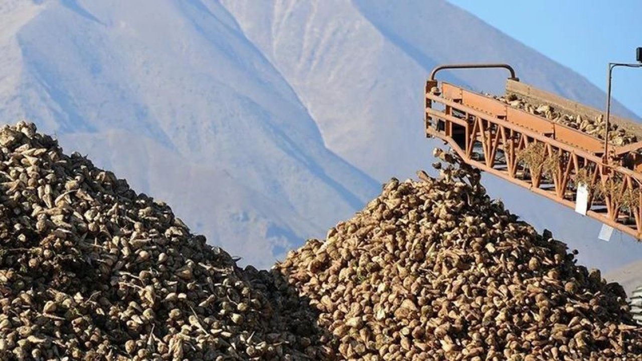 Hangi İllerimizde Şeker Fabrikaları Vardır? Ankara’da Kaç Tane Şeker Fabrikası Var, Nerede?