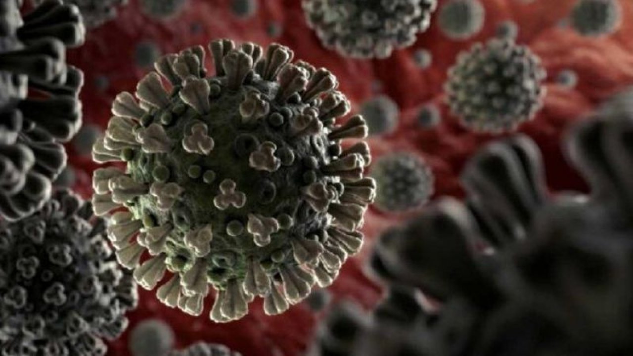 Ankara’da Koronavirüs Tehlikesi Artmaya Başladı! Günlük Vaka Sayısı Giderek Artmaya Başladı! 3. Dalga Mı Geliyor?
