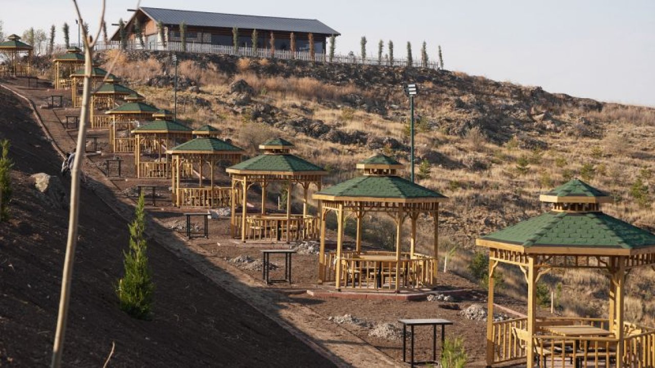 Ankara Kartaltepe Mesire Alanı sağlıklı günler için ağaçlandırılıyor
