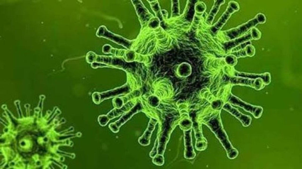Koronavirüsün Yeni Belirtileri Son Dakika Haberiyle Duyuruldu! Eğer Bu Belirti Varsa Hemen Hastaneye Koşun! Vakalardan Biri de Siz Olabilirsiniz!