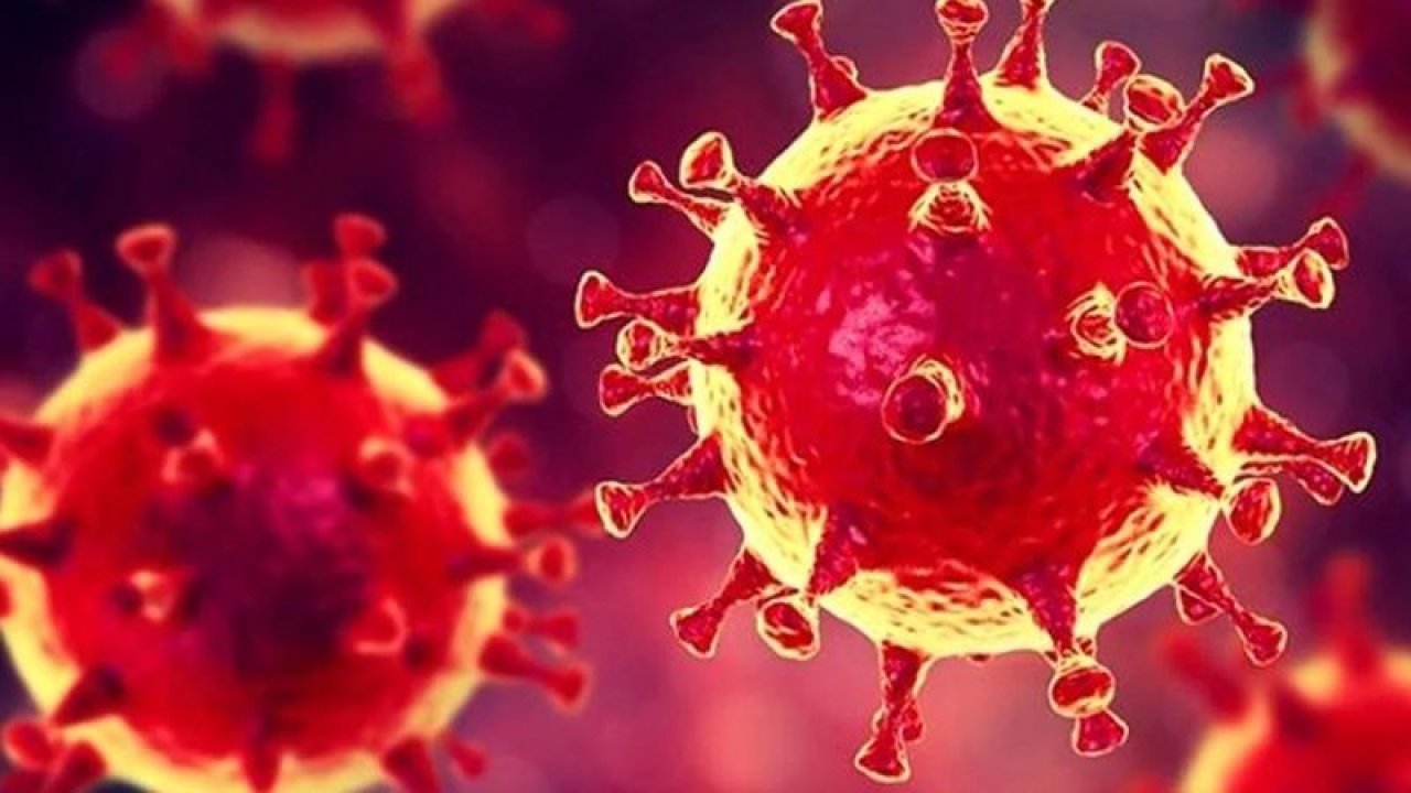Koronavirüste son durum! Dünya genelinde vaka sayısı ve can kaybı kaç oldu? 8 Aralık 2020