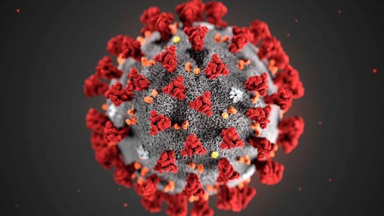 Koronavirüste son durum! Dünya genelinde vaka sayısı ve can kaybı kaç oldu? 15 Aralık 2020