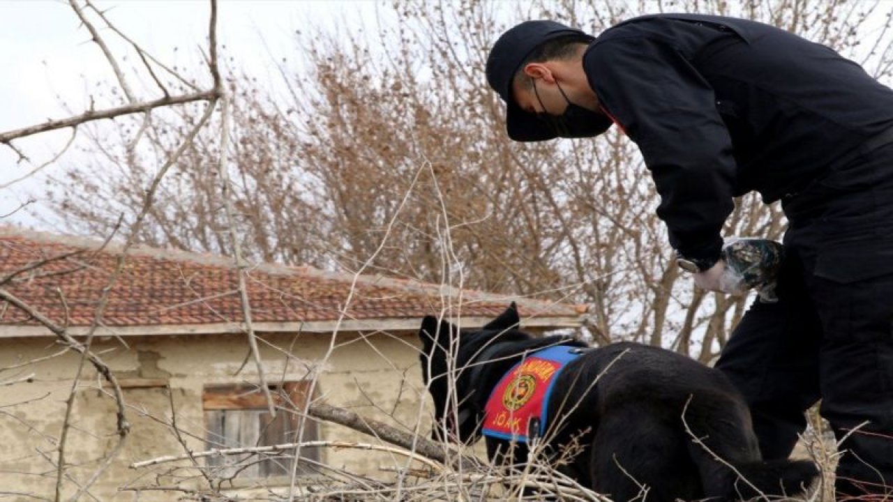 Çankırı'da 75 yaşındaki kayıp kadından 17 gündür haber alınamıyor