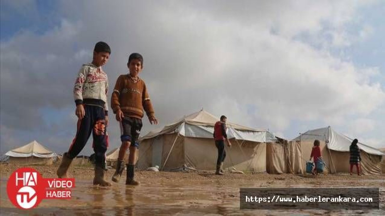 “Iraklı göçmenler kamplardan zorla gönderiliyor“
