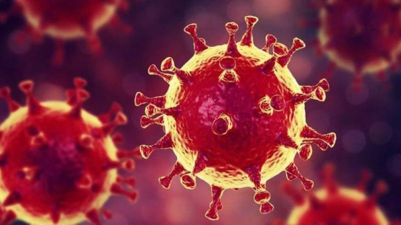 Ankaralılara Kabus Gibi Haber… 15 Mutasyonlu Koronavirüs Hastası Ülkemizde Görüldü! Bu Yılda Bitmeyecek…