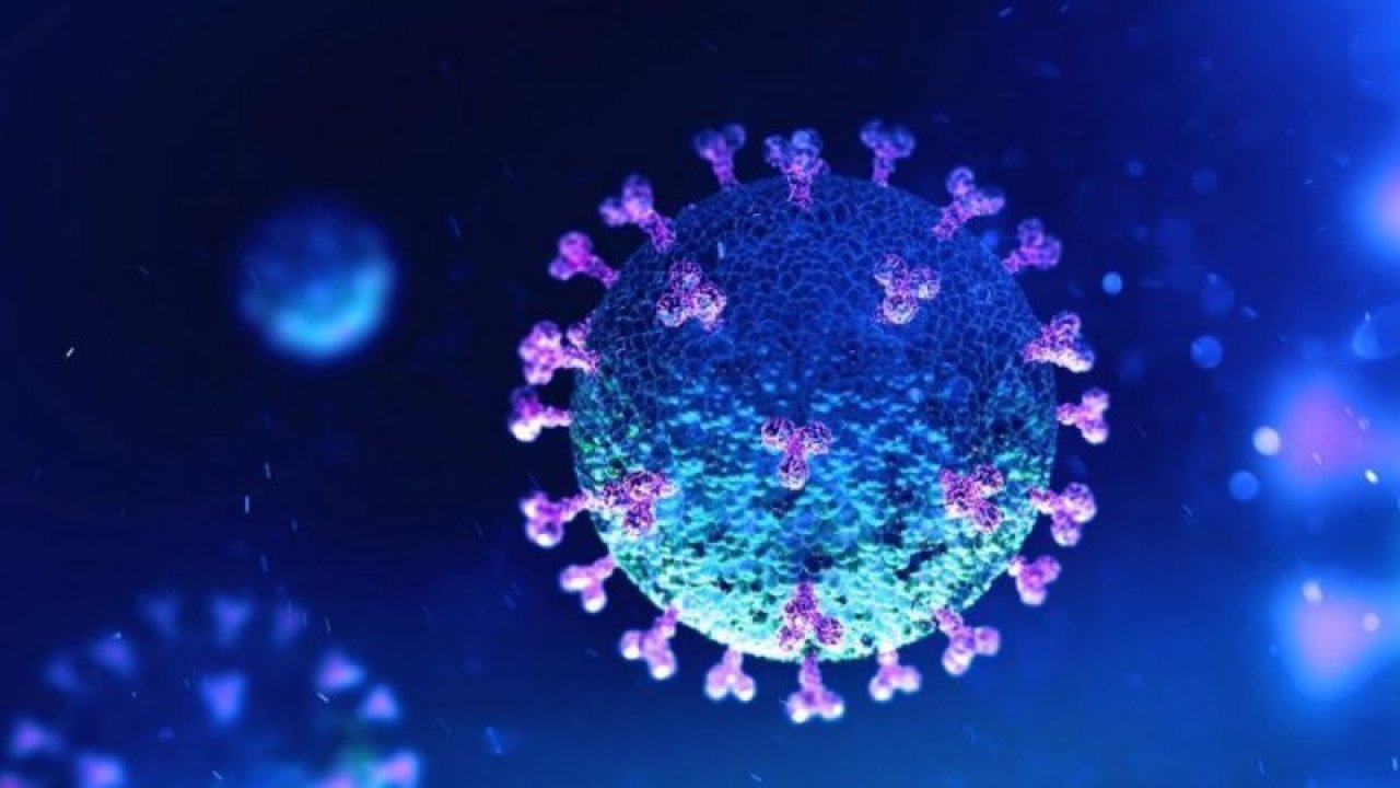 Ankara Bu Yılda Koronavirüse Yenik Düşecek! 2021 Yılında da Koronavirüs Bitmeyecek! Vaka Sayıları Düşüyor Ama Mutasyonlu Hasta Sayısı…