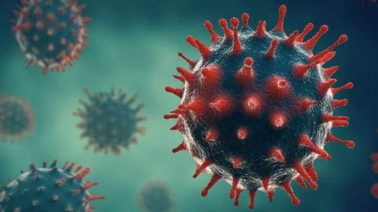 Ankara Koronavirüste Son Durağa Geldi! Vaka Ve Ağır Hasta Sayısı Neredeyse Çakıldı! Yakında Bitiyor…