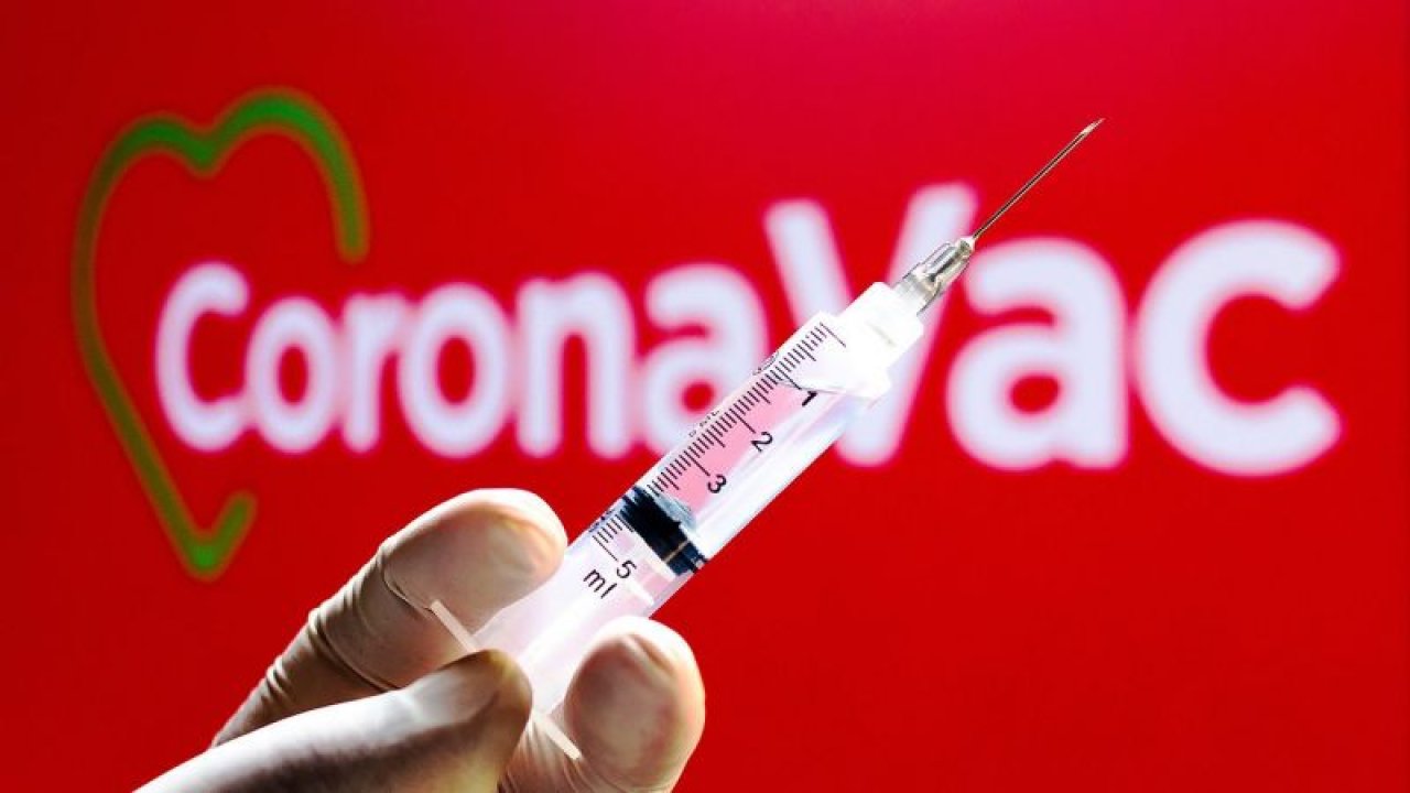 Aşı Randevusu Nasıl Alınır? Koronavirüs Aşı Randevusu Nasıl Alınır?