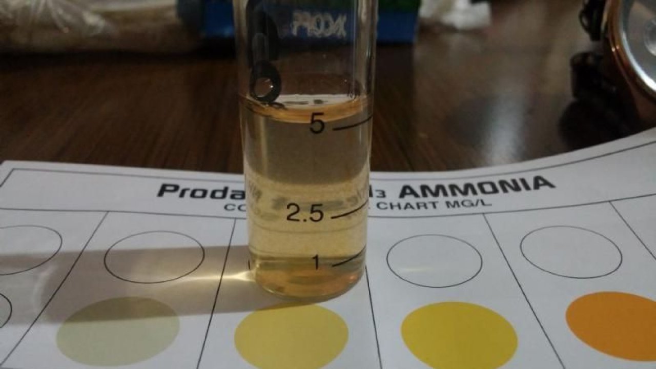 Amonyak Nedir, Nasıl Kullanılır? Amonyak Asit Mi Baz Mı?