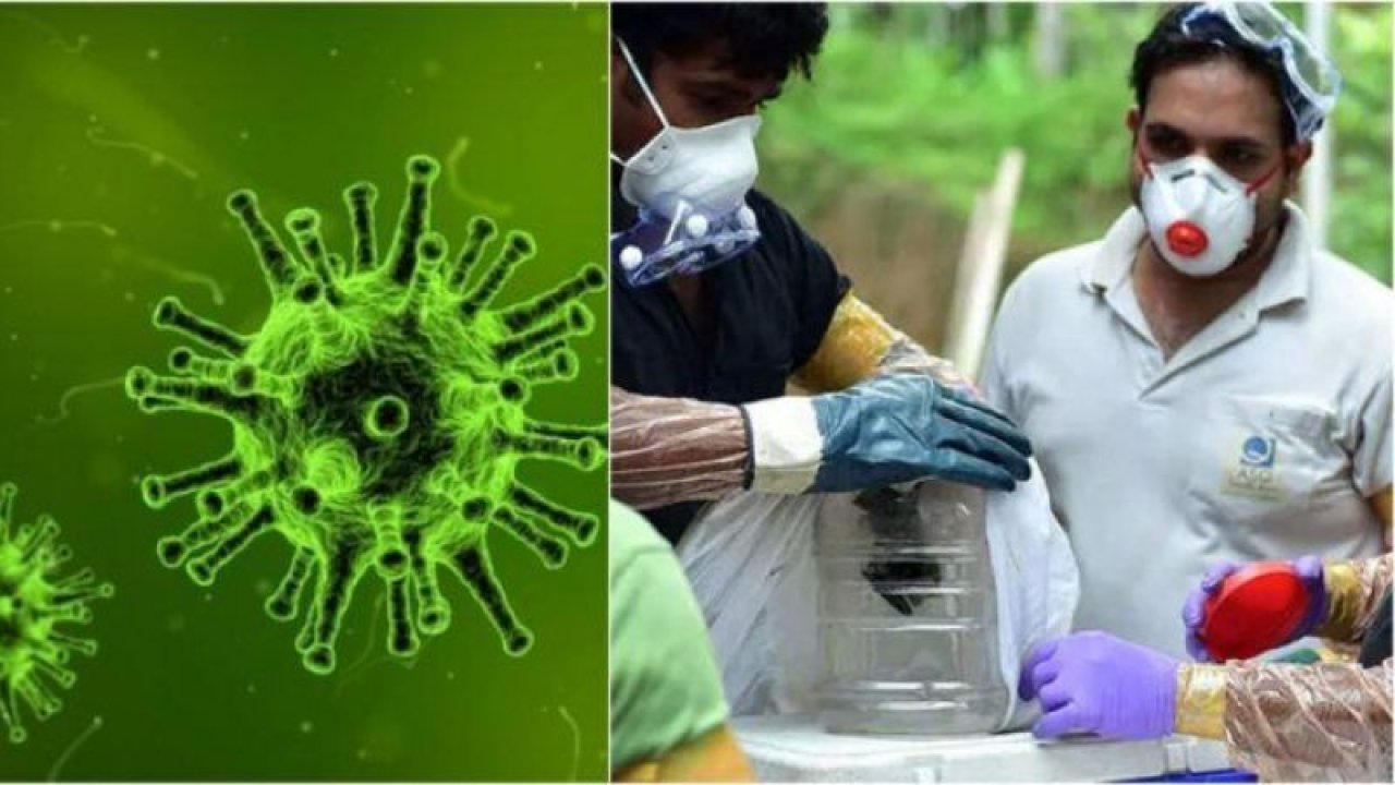 Bilim İnsanlarının Yeni Uyarısı Artık Yeter Dedirtti! Nipah Virüsü Nedir, Belirtileri Nelerdir? Aşısı Var Mı?