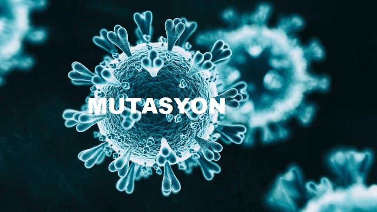 Bakan Koca açıkladı: 17 şehirde 128 mutasyonlu virüs tespit edildi