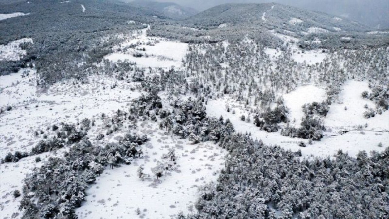 Kütahya'daki Yaylacık Ormanı beyaz örtüyle kaplandı