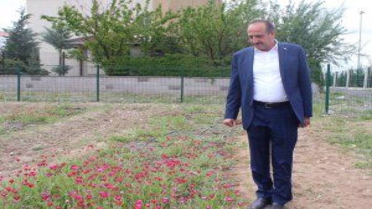 Gölbaşında Sevgi Çiçeği’nin tohumları çiçek açtı