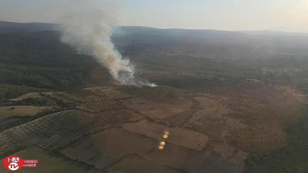 İzmir’de bir orman yangını daha