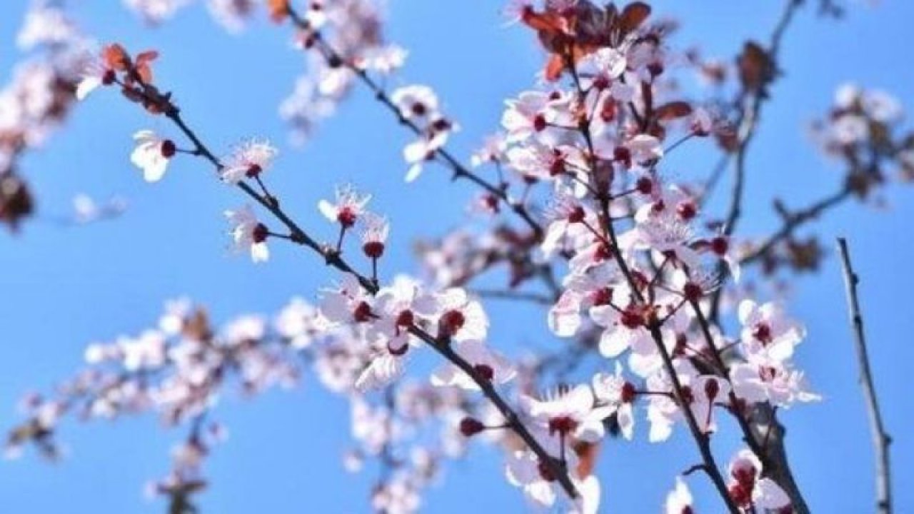 Cemre Ne Zaman Düşüyor? 2021 Cemre Tarihleri?