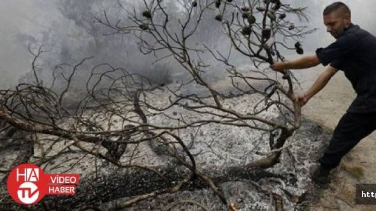 İsrail'den Lübnan ormanlarına yangın bombası atıldı