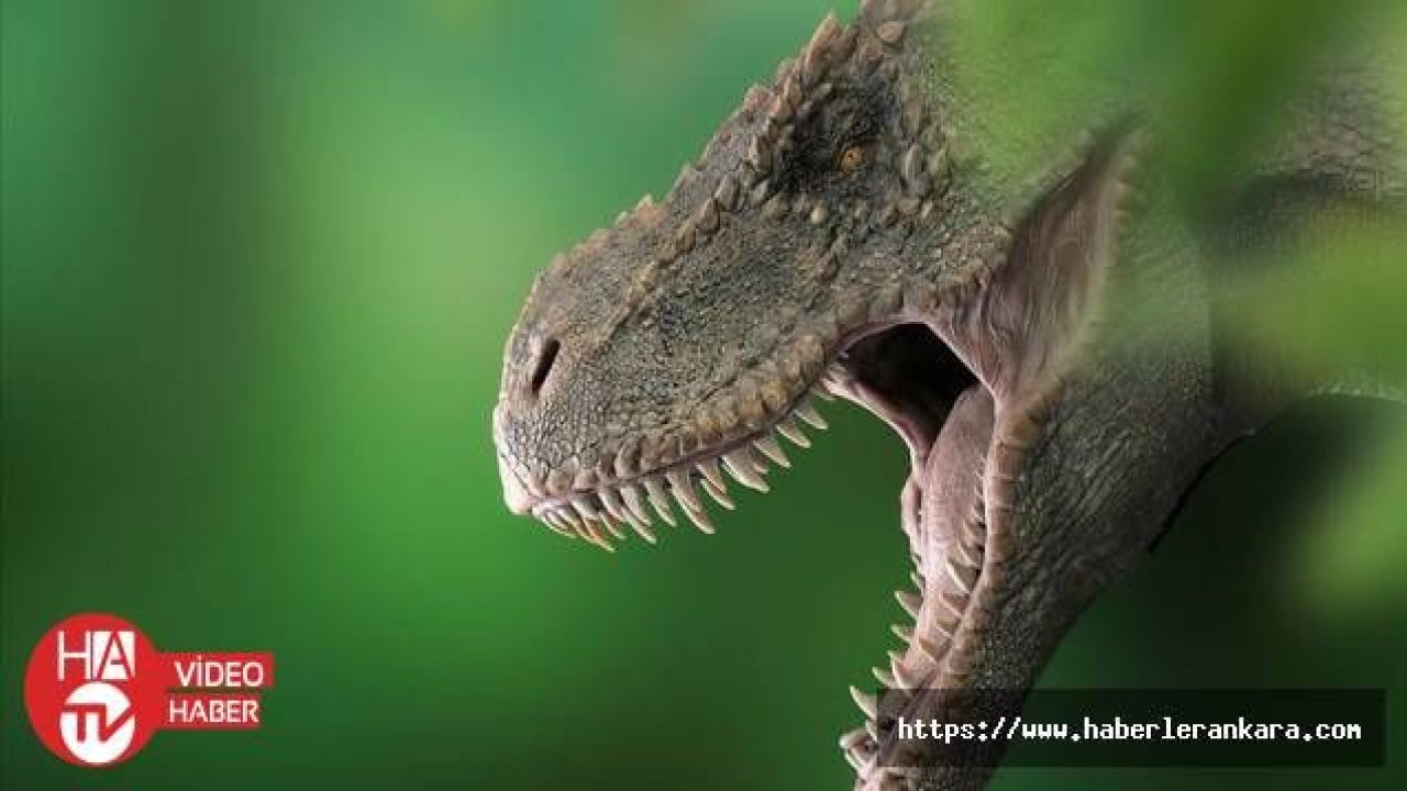 T-Rex'lerin kafataslarında klima işlevi gören delikler keşfedildi