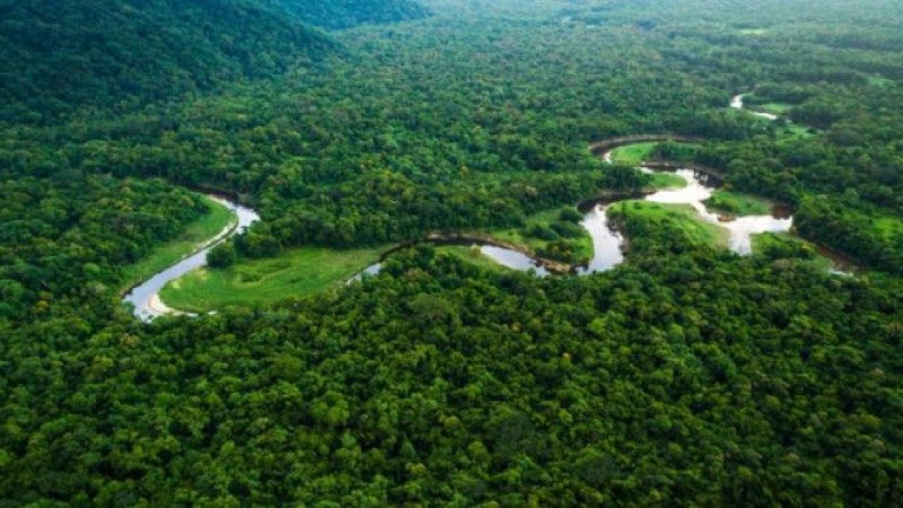 Amazon Dünya İçin Yatırıma Devam ediyor! İklim Değişikliği İçin Rekor Bütçe!
