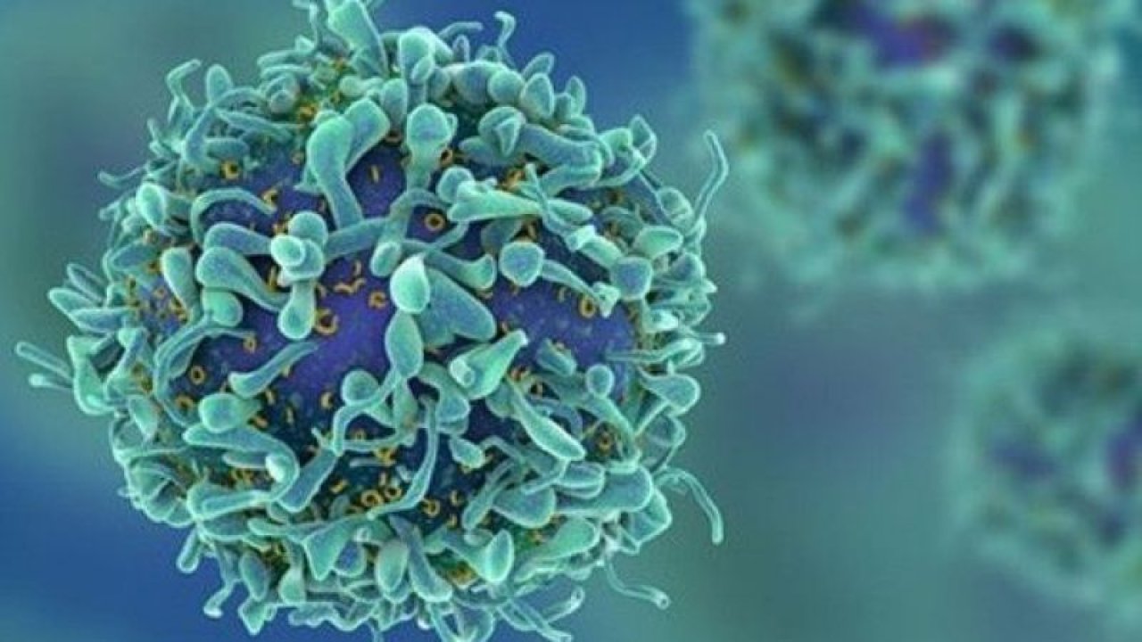 Ürküten Araştırma: Kanser hücreleri uyku haline geçerek kemoterapiden kaçabilir