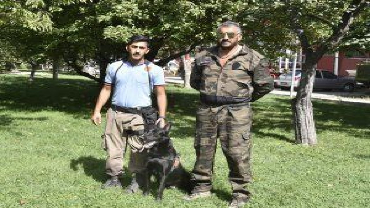 Ankara Büyükşehir Belediyesi İtfaiyesi'nin dedektör köpeği "Boomer"