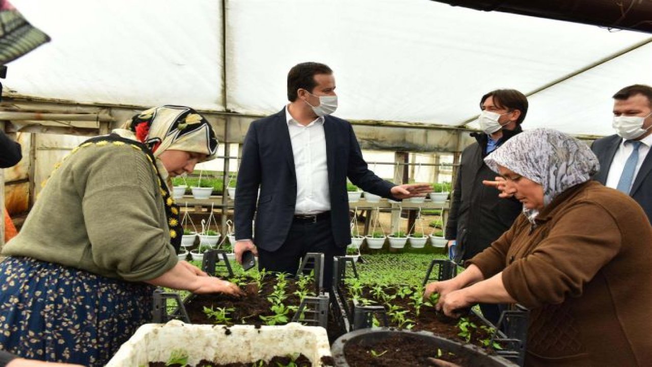 Mansur Yavaş Bir Sözünü Daha Tutuyor: Ankara’da Sözleşmeli Çiçek Üreticiliği Dönemi Başlıyor!