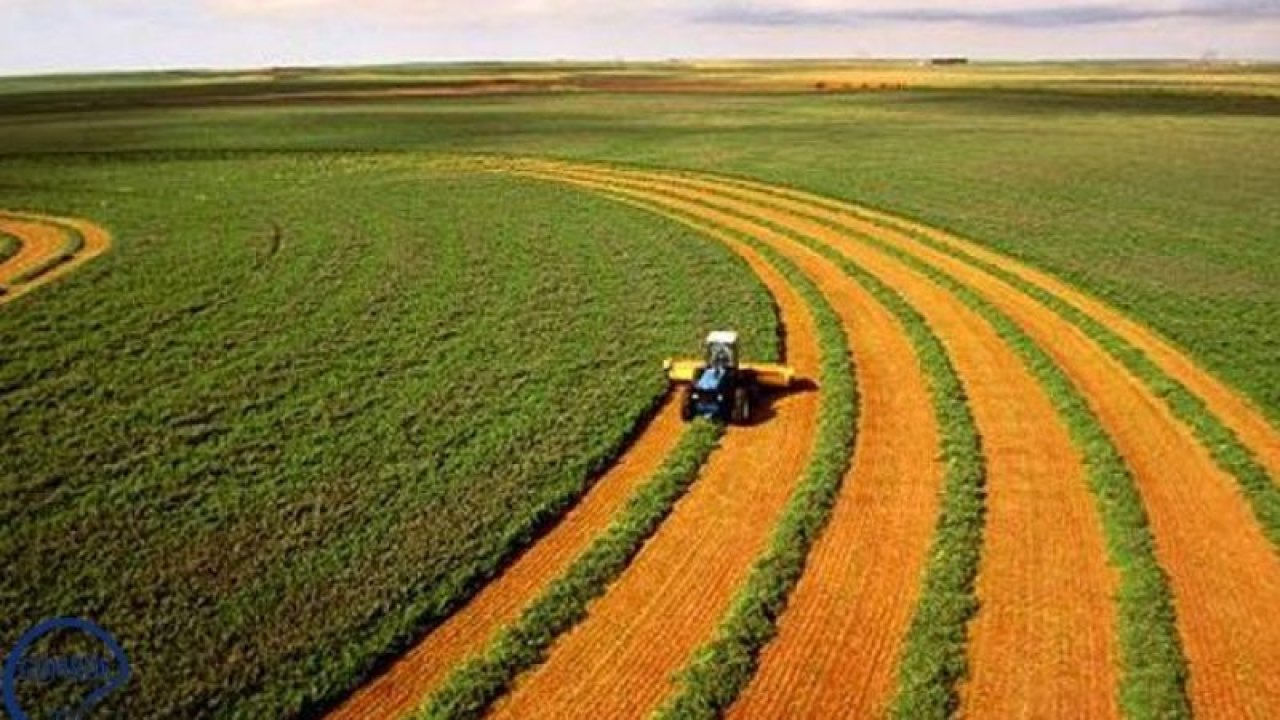 Rusya Tarım İhracatı Yüzde 22,3 Arttı!