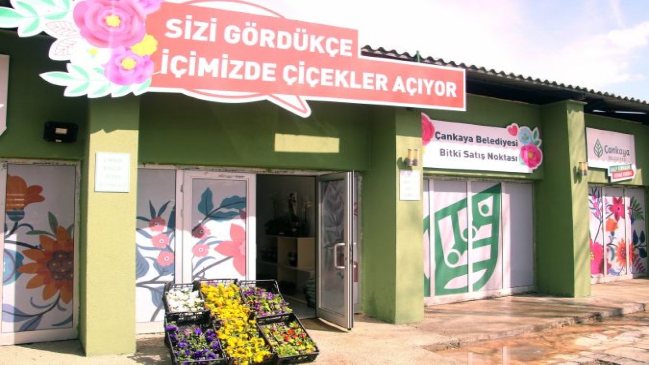 Ankara Çankaya’da Çiçeklerin Satış Noktası! Uğur Mumcu Parkı ...