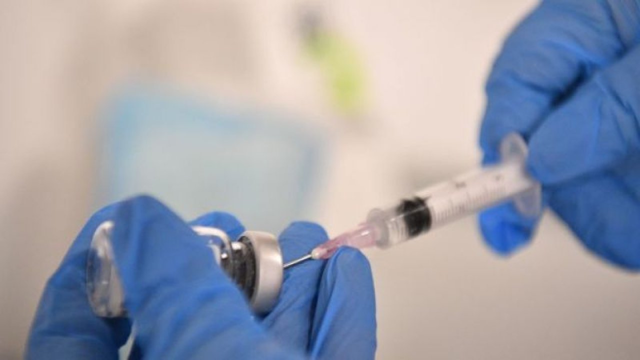 Hayvanlar İçin Koronavirüs Aşısı Geliştirildi! Testler Yüzde 100 Başarılı