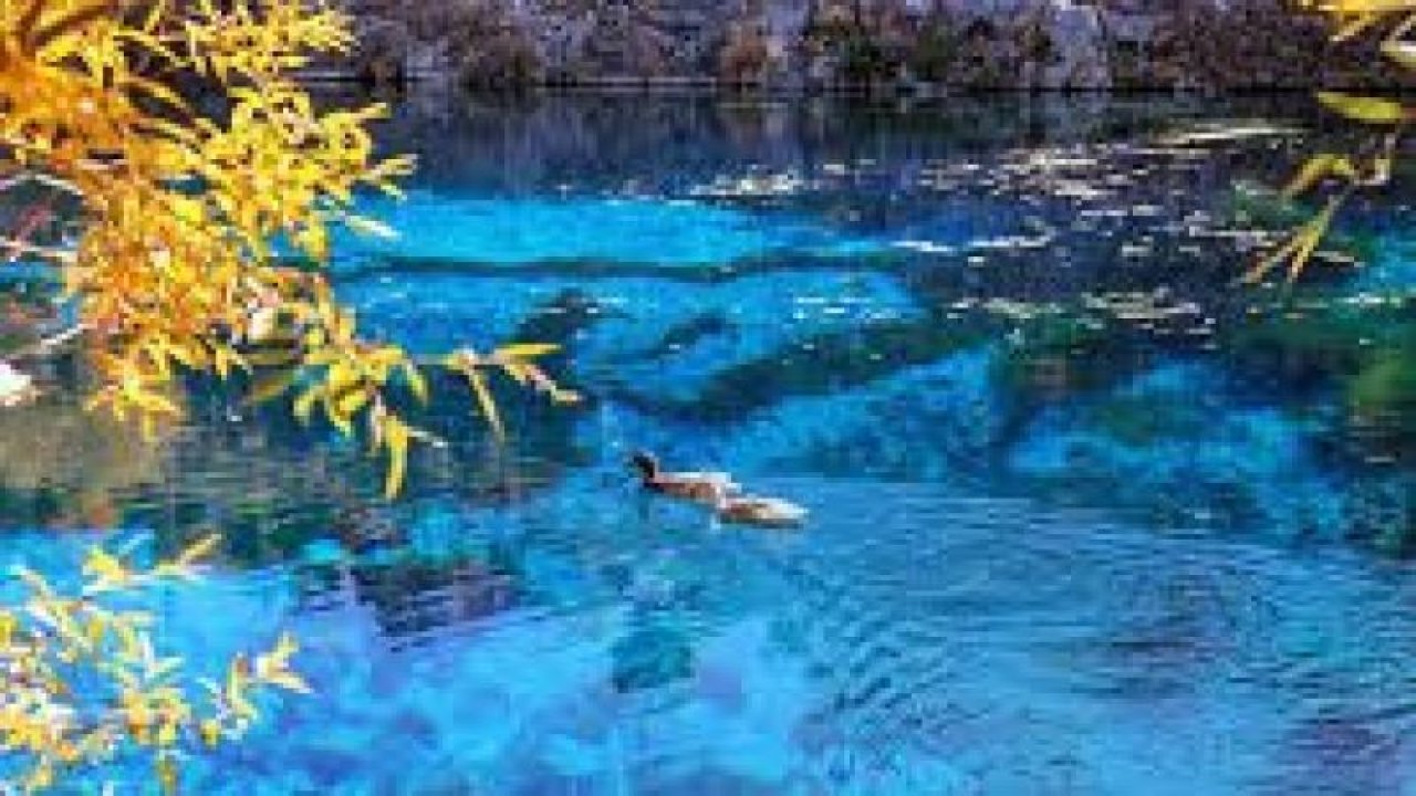 Sivas'ın "doğal akvaryumu" Gökpınar Gölü! Gökpınar Gölü nerede?