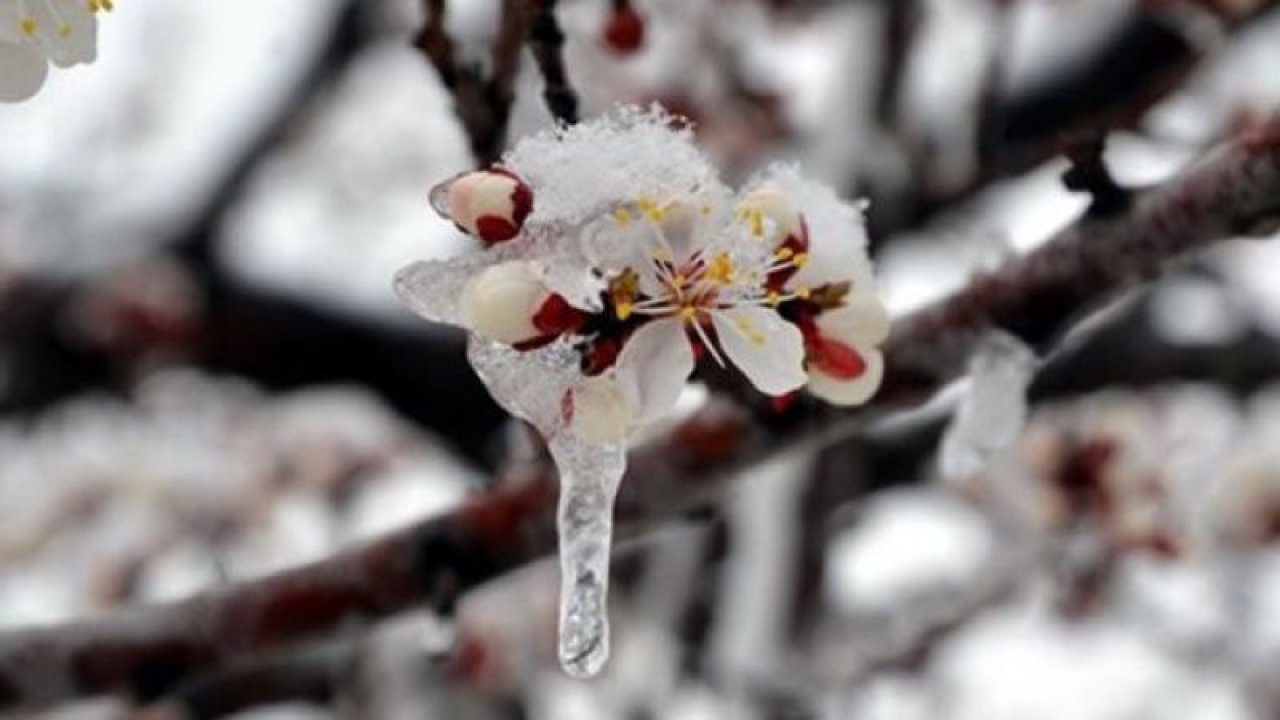 Meteoroloji Kritik Uyarıda Bulundu! İç Anadolu Soğuk Hava Dalgası Etkisinde Olacak