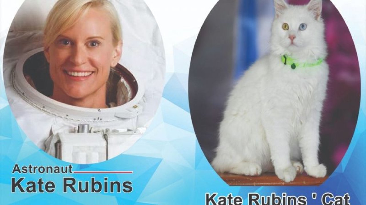 Van Gölü'nü dünyaya tanıtan Kate Rubins'e davet!