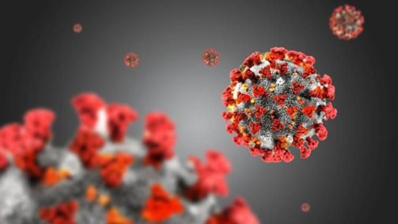 Ankara Koronavirüs Salgınında Şok Gelişme! Vaka Sayıları 60 Bini Aştı, İlk Kez Böyle Bir Şey Yaşandı! Sağlık Bakanı Koca'dan Haber Var!
