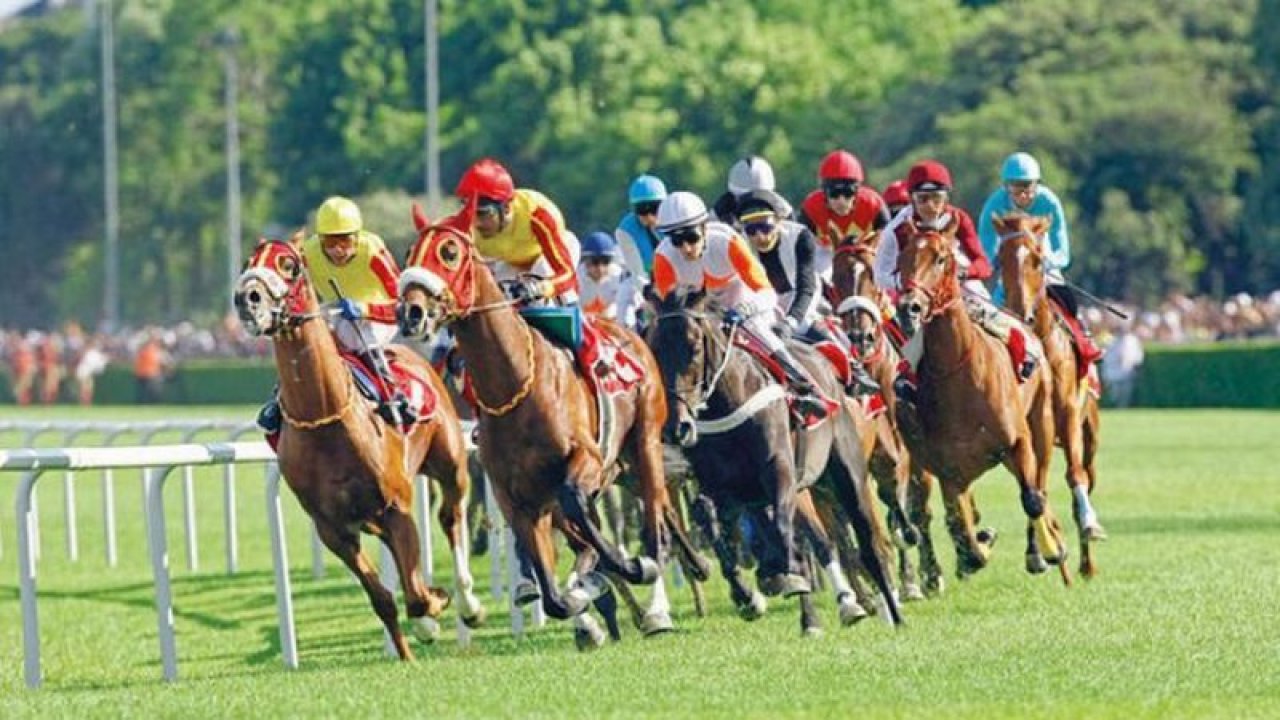 At Yarışlarının En Önemli Koşularından Biri! TBMM Koşusu Yarın Ankara'da!