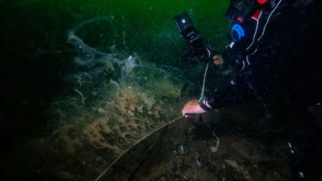 Tehlike Büyük! Marmara ölürse, Karadeniz de ölür