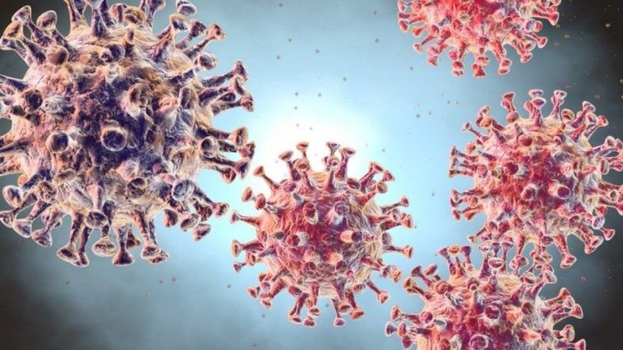 Gizli Koronavirüs Raporu Ortaya Çıktı
