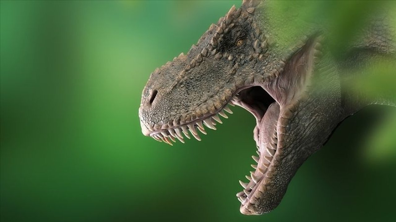 Var Edilme Sebepleri Her Zaman Merak Edildi! Avusturalya'da Dünyanın En Büyük Dinozoru Keşfedildi!